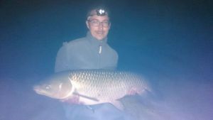 Silver Carp