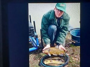Tench