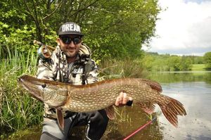 Northern Pike