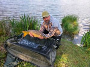 Mirror Carp