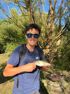 Largemouth Bass