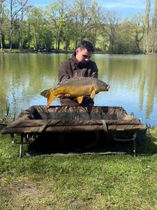 Mirror Carp