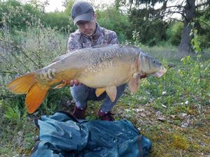 Mirror Carp