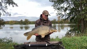 Common Carp
