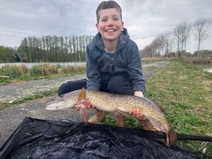 Northern Pike