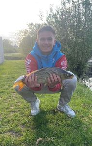 Common Carp