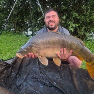 Mirror Carp