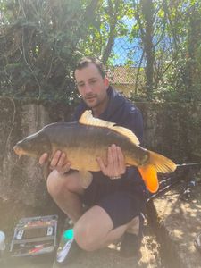 Leather Carp