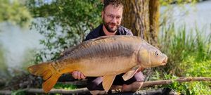 Mirror Carp