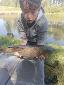 Grass Carp
