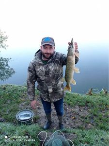 Northern Pike