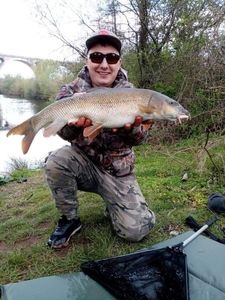 Barbel