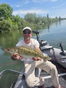Zander