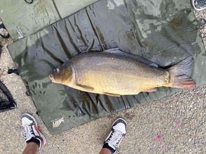 Leather Carp