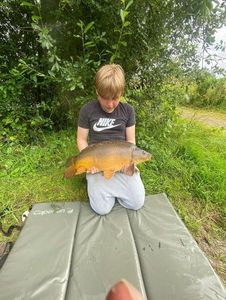 Mirror Carp