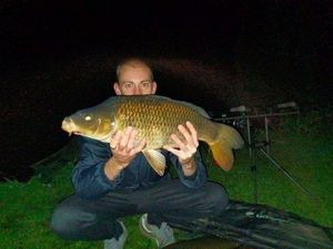 Common Carp