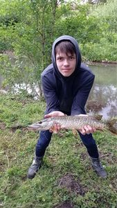 Northern Pike
