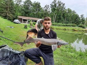 Sturgeon