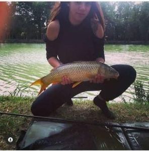 Common Carp
