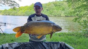 Mirror Carp