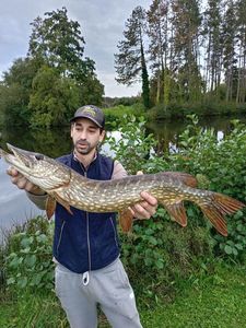 Northern Pike