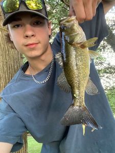 Smallmouth Bass