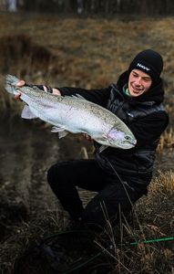 Rainbow Trout