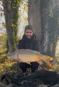 Mirror Carp