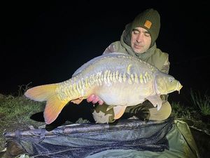 Mirror Carp