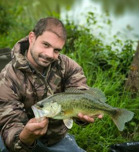 Largemouth Bass