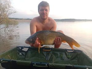 Mirror Carp