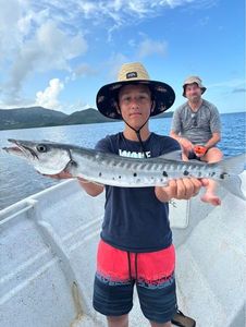 Great Barracuda
