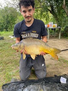 Mirror Carp