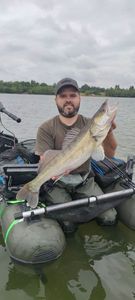 Zander