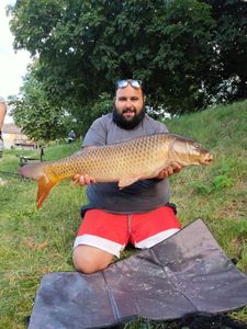 Crucian Carp
