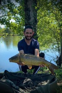 Common Carp