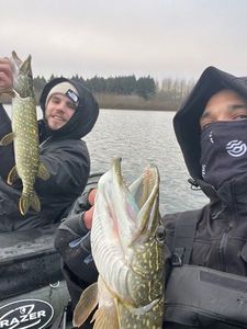 Northern Pike