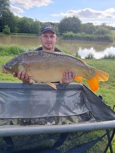 Mirror Carp