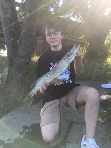 Northern Pike