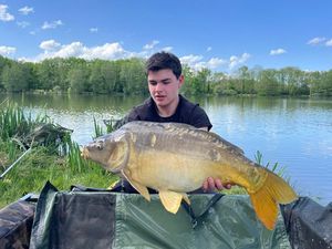 Mirror Carp