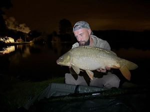 Common Carp