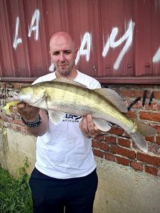 Zander