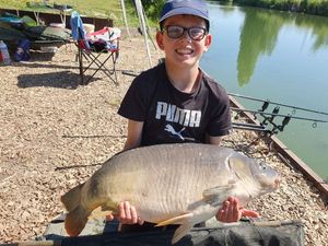 Mirror Carp