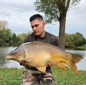 Mirror Carp