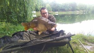 Mirror Carp