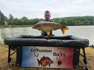 Mirror Carp