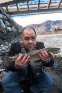 Marble Trout