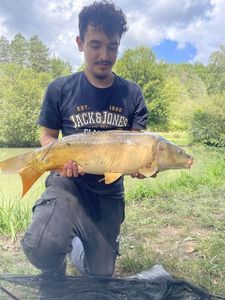 Mirror Carp