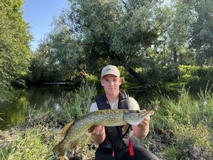 Northern Pike