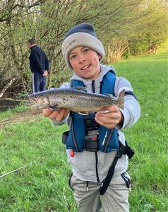 Brook Trout